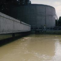 Bassin biologique